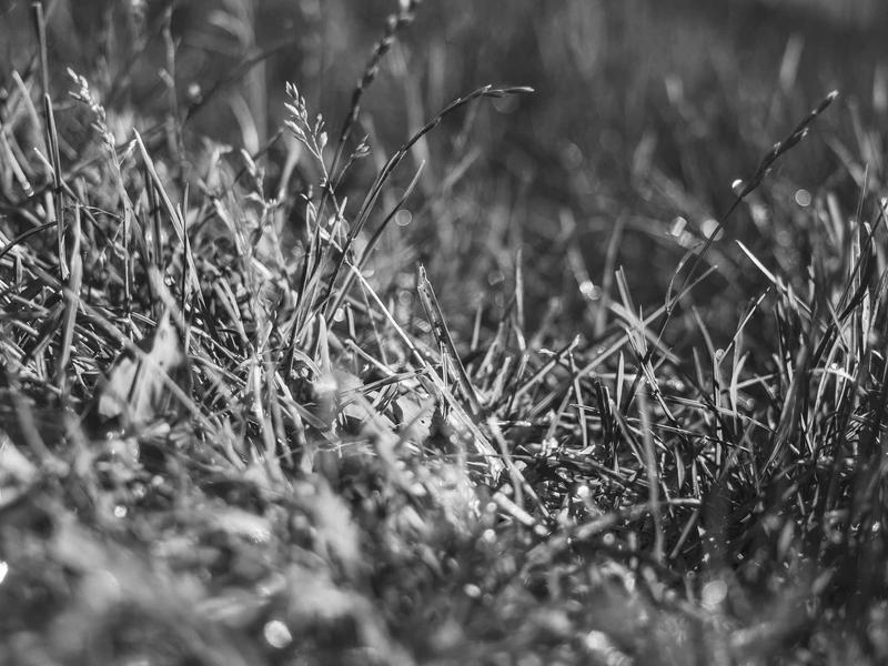 sudoku pattern learning screenshot 5